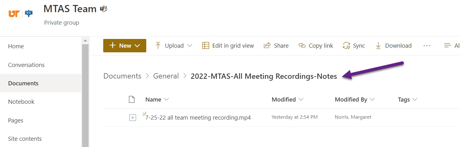 Screenshot of MTAS Teams Directory Structure for Video Recordings